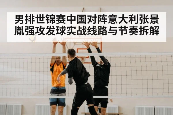 volleyball block net